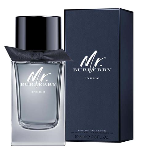 mr burberry cologne parfum|mr burberry indigo fragrantica.